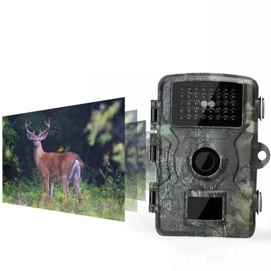 1080P Wildlife Trail Hunting Camera