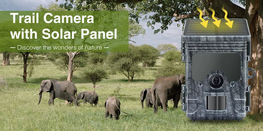 4K WiFi Solar Powered Trail Camera