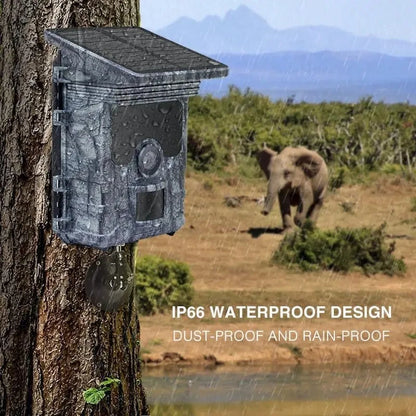 4K WiFi Solar Powered Trail Camera