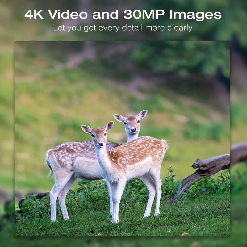 4K WiFi Solar Powered Trail Camera